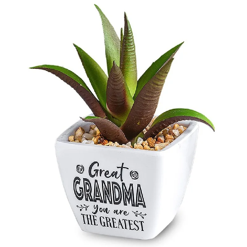 H & H Gifts : Succulent - Great Grandma