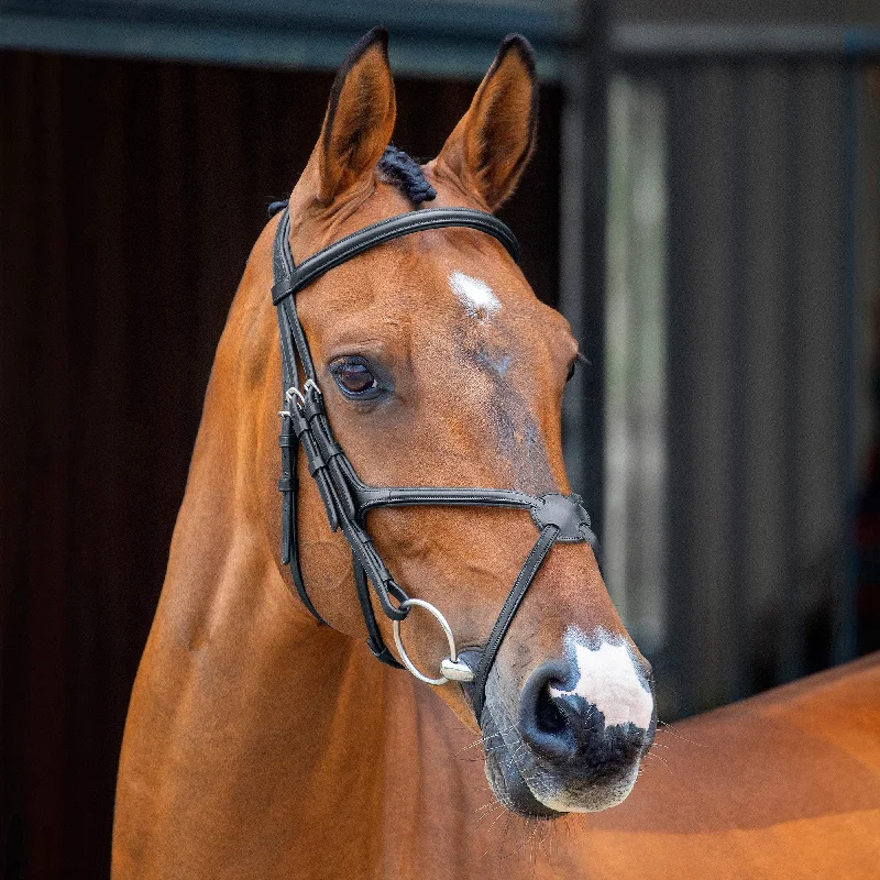 Shires Lusso Grackle Bridle - Black