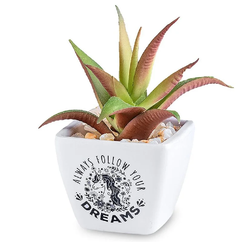 H & H Gifts : Succulent - Unicorn