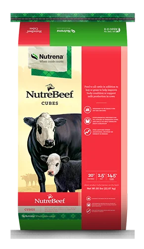 Nutrena NutreBeef Cattle Cubes 20%